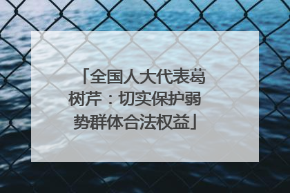 全国人大代表葛树芹：切实保护弱势群体合法权益