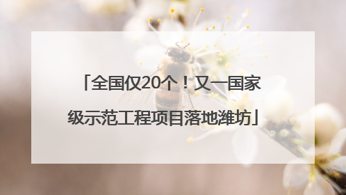 全国仅20个！又一国家级示范工程项目落地潍坊