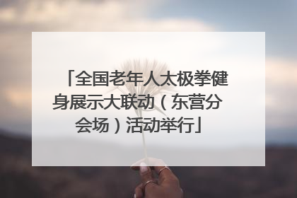 全国老年人太极拳健身展示大联动（东营分会场）活动举行