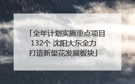 全年计划实施重点项目132个 沈阳大东全力打造新望花发展板块