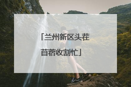 兰州新区头茬苜蓿收割忙