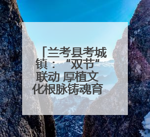 兰考县考城镇：“双节”联动 厚植文化根脉铸魂育人