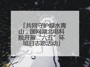 共同守护绿水青山，国网湖北电科院开展“六五”环境日志愿活动