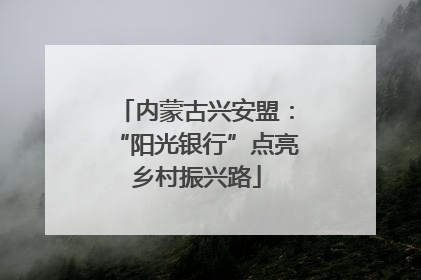 内蒙古兴安盟：“阳光银行”点亮乡村振兴路