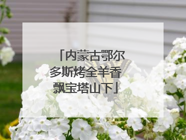 内蒙古鄂尔多斯烤全羊香飘宝塔山下