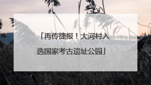 再传捷报！大河村入选国家考古遗址公园