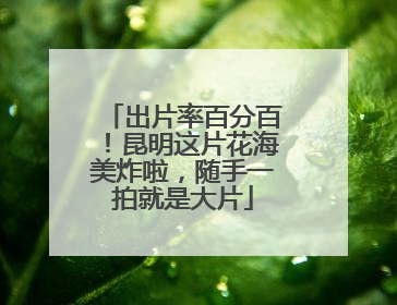 出片率百分百！昆明这片花海美炸啦，随手一拍就是大片