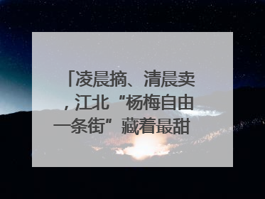 凌晨摘、清晨卖，江北“杨梅自由一条街”藏着最甜的烟火气