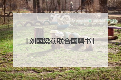 刘国梁获联合国聘书