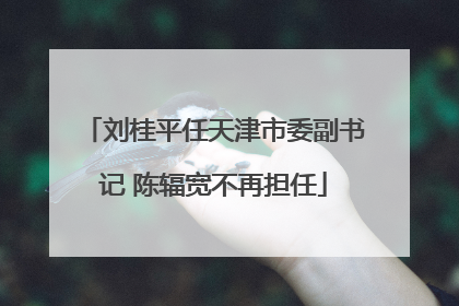 刘桂平任天津市委副书记 陈辐宽不再担任