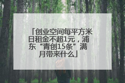创业空间每平方米日租金不超1元，浦东“青创15条”满月带来什么