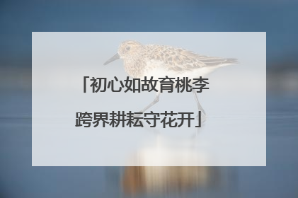初心如故育桃李 跨界耕耘守花开