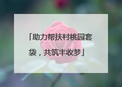 助力帮扶村桃园套袋，共筑丰收梦