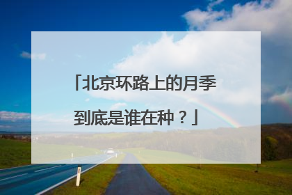 北京环路上的月季到底是谁在种？
