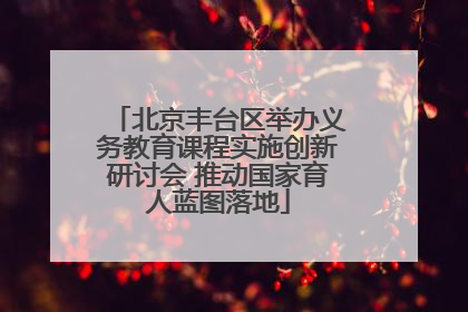 北京丰台区举办义务教育课程实施创新研讨会 推动国家育人蓝图落地