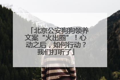 北京公安狗狗领养文案“火出圈”！心动之后，如何行动？我们打听了