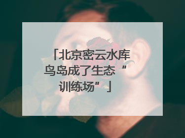 北京密云水库鸟岛成了生态“训练场”