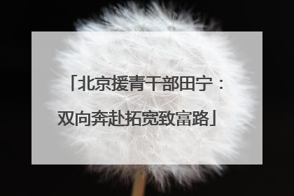 北京援青干部田宁：双向奔赴拓宽致富路