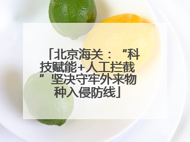 北京海关：“科技赋能+人工拦截”坚决守牢外来物种入侵防线