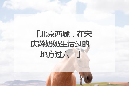 北京西城：在宋庆龄奶奶生活过的地方过六一