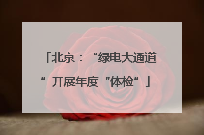 北京：“绿电大通道”开展年度“体检”