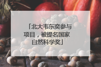 北大韦东奕参与项目，被提名国家自然科学奖