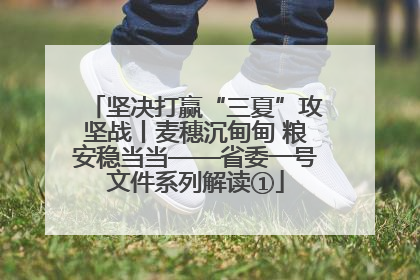 坚决打赢“三夏”攻坚战丨麦穗沉甸甸 粮安稳当当——省委一号文件系列解读①