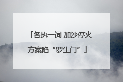 各执一词 加沙停火方案陷“罗生门”