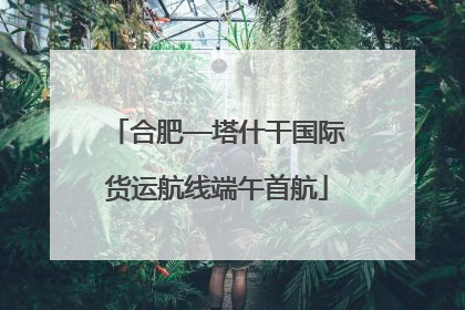合肥—塔什干国际货运航线端午首航