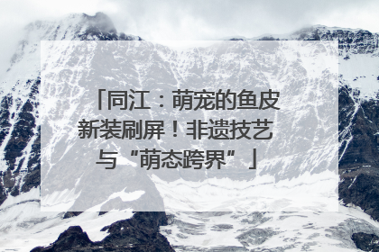 同江：萌宠的鱼皮新装刷屏！非遗技艺与“萌态跨界”