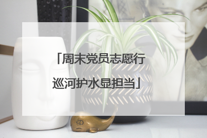 周末党员志愿行 巡河护水显担当