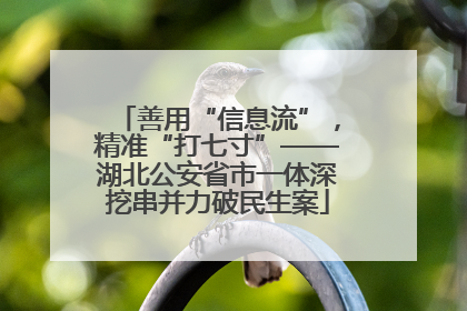 善用“信息流”，精准“打七寸”——湖北公安省市一体深挖串并力破民生案
