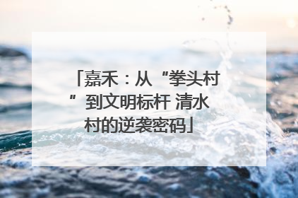 嘉禾：从“拳头村”到文明标杆 清水村的逆袭密码