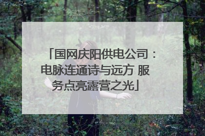 国网庆阳供电公司：电脉连通诗与远方 服务点亮露营之光
