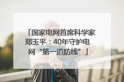 国家电网首席科学家郑玉平：40年守护电网“第一道防线”