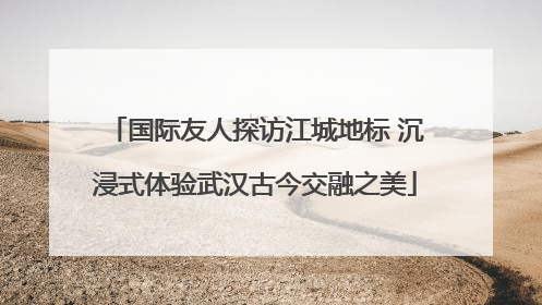 国际友人探访江城地标 沉浸式体验武汉古今交融之美