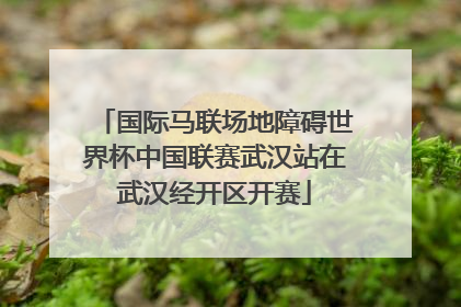 国际马联场地障碍世界杯中国联赛武汉站在武汉经开区开赛