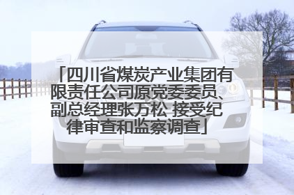 四川省煤炭产业集团有限责任公司原党委委员、副总经理张万松 接受纪律审查和监察调查