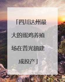 四川达州最大的蛋鸡养殖场在普光镇建成投产