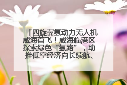 四旋翼氢动力无人机威海首飞！威海临港区探索绿色“氢路”，助推低空经济向长续航、大载重“进化”