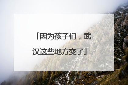因为孩子们，武汉这些地方变了