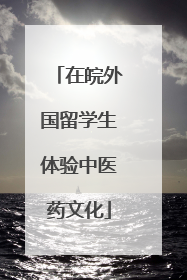 在皖外国留学生体验中医药文化