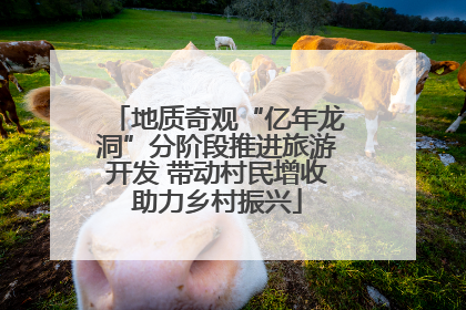 地质奇观“亿年龙洞”分阶段推进旅游开发 带动村民增收助力乡村振兴