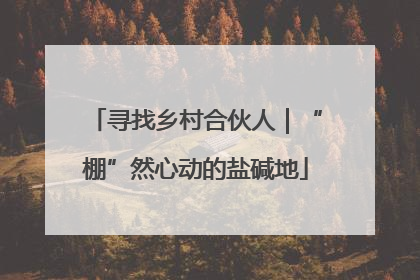寻找乡村合伙人｜“棚”然心动的盐碱地