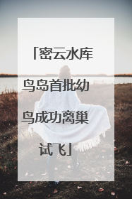 密云水库鸟岛首批幼鸟成功离巢试飞