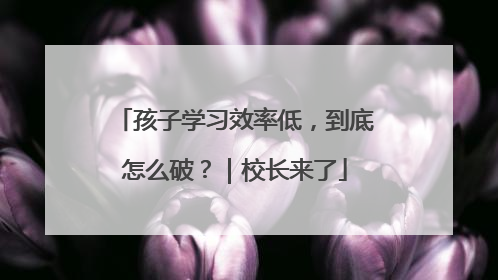 孩子学习效率低，到底怎么破？｜校长来了
