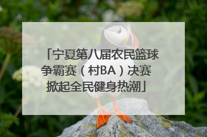 宁夏第八届农民篮球争霸赛（村BA）决赛掀起全民健身热潮