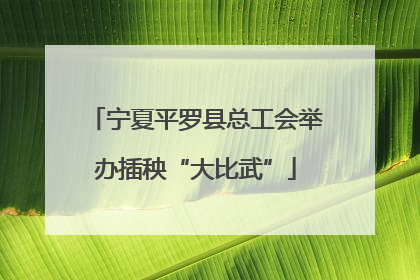 宁夏平罗县总工会举办插秧“大比武”