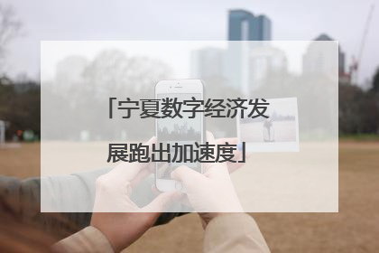 宁夏数字经济发展跑出加速度