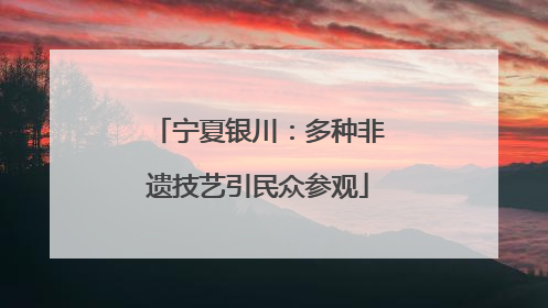 宁夏银川：多种非遗技艺引民众参观